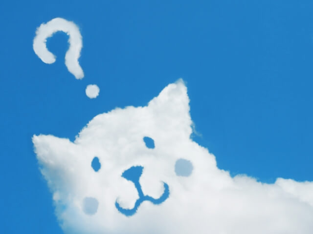 雲の形犬疑問